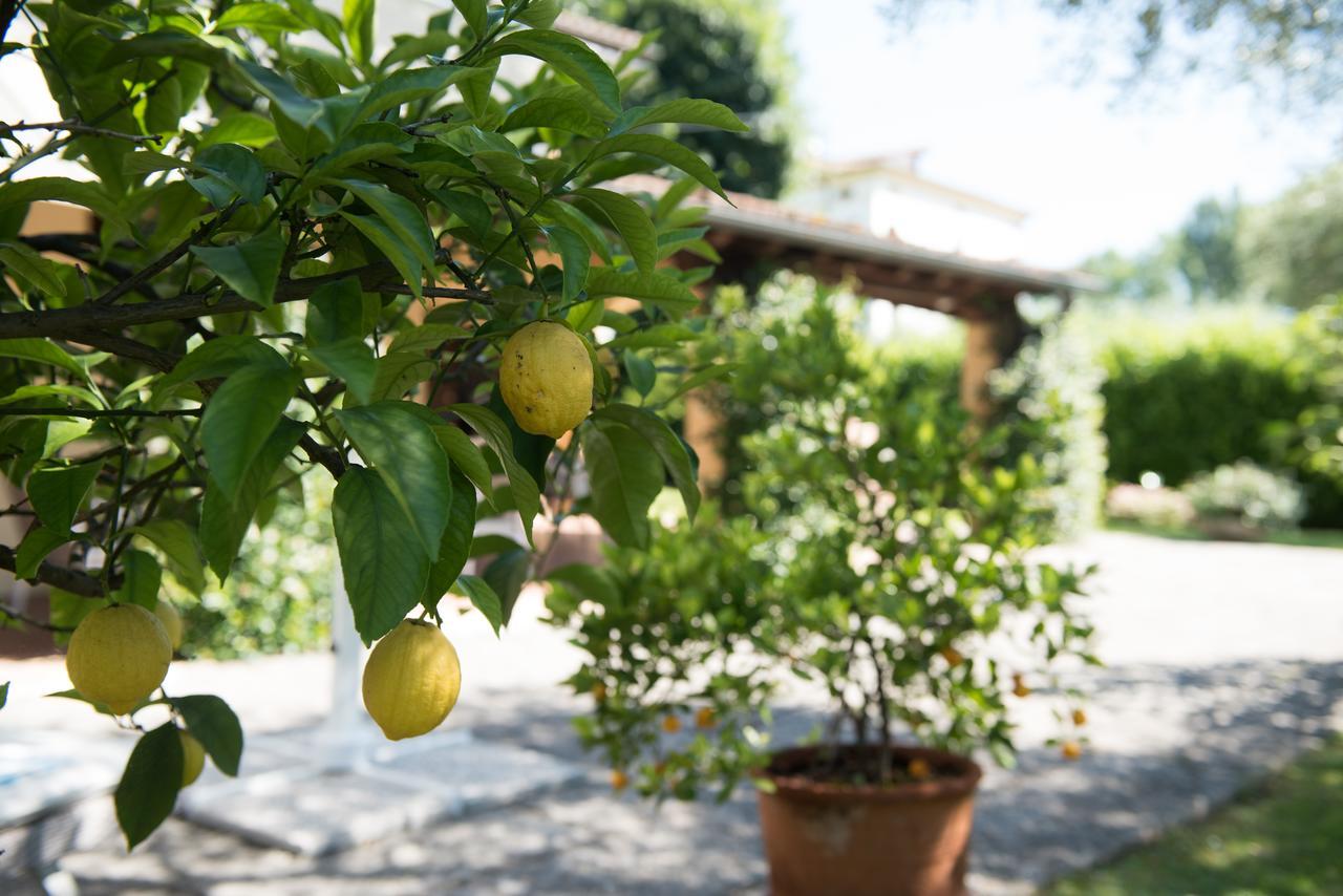 Le Tre Querce B&B Romano D'Ezzelino Esterno foto